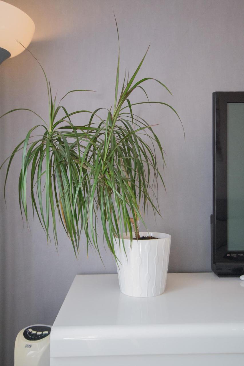 Appartement Spot'in - Milsand